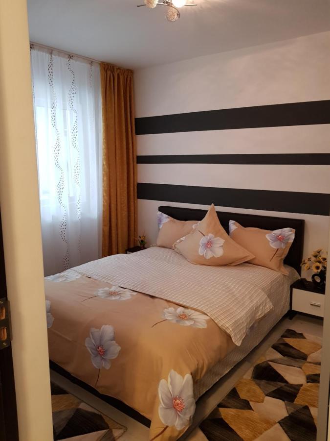 Apartament Sofy2 Băile Herculane Exterior foto