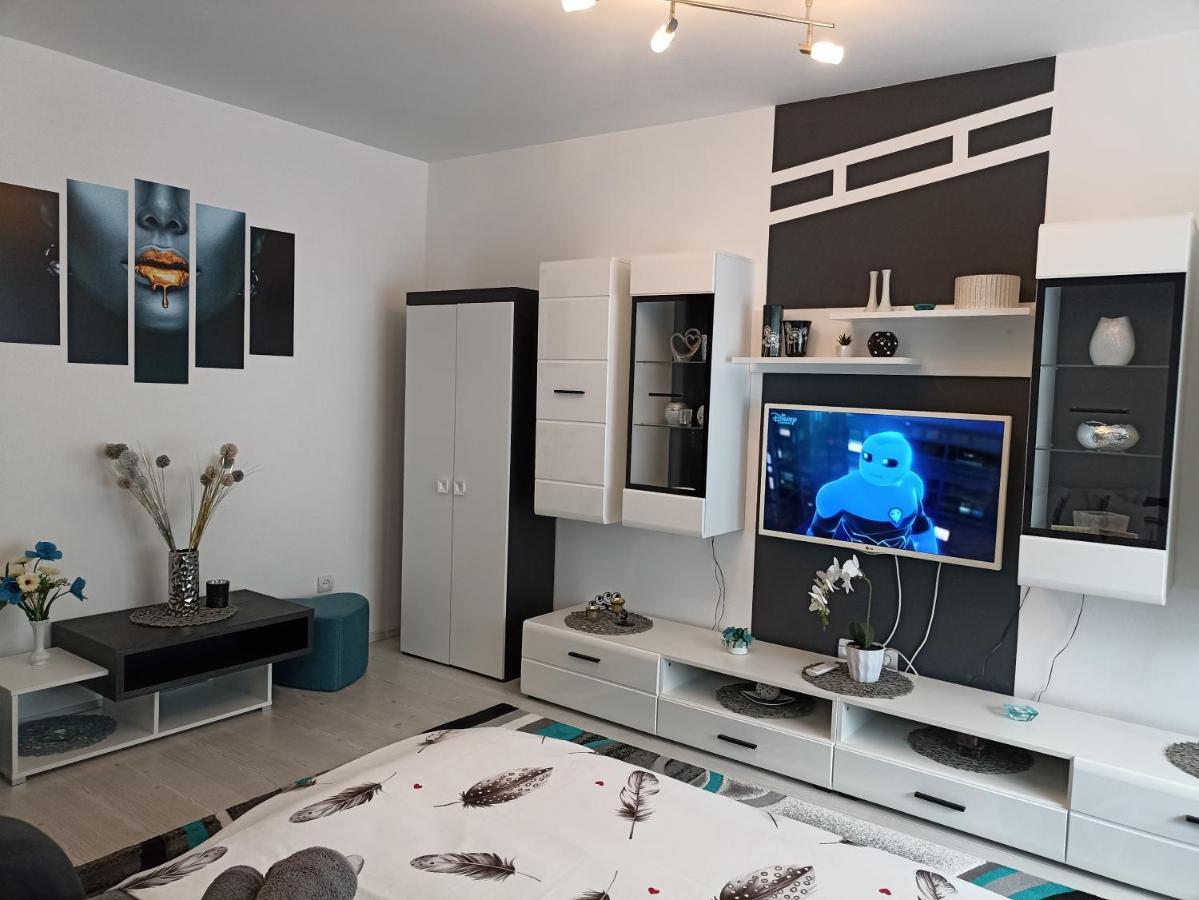 Apartament Sofy2 Băile Herculane Exterior foto